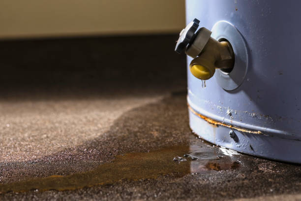 Best Carpet water damage restoration  in Lake Sarasota, FL