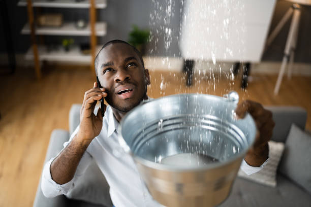 Best Water damage cleanup near me  in Lake Sarasota, FL