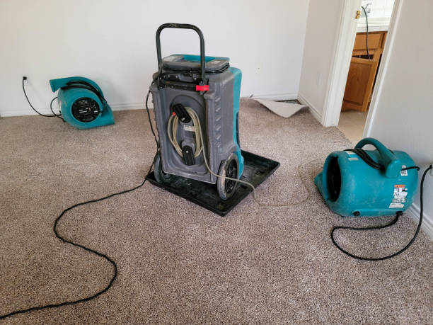 Best Residential water damage restoration  in Lake Sarasota, FL