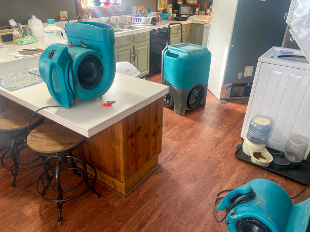 Best Fire Damage Restoration  in Lake Sarasota, FL