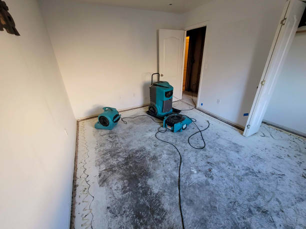Best Professional water damage repair  in Lake Sarasota, FL
