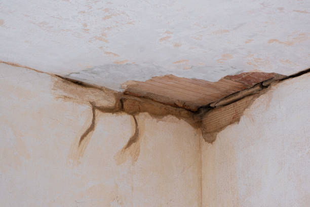 Best Commercial water damage restoration  in Lake Sarasota, FL