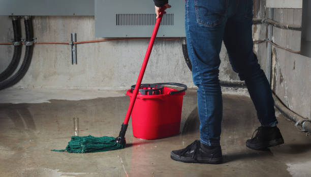 Best Flood restoration services  in Lake Sarasota, FL