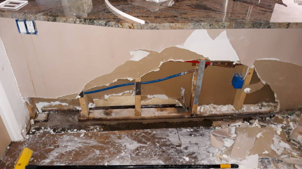 Best Professional water damage repair  in Lake Sarasota, FL