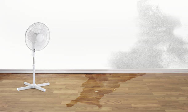 Trusted FL Water damage restoration Experts