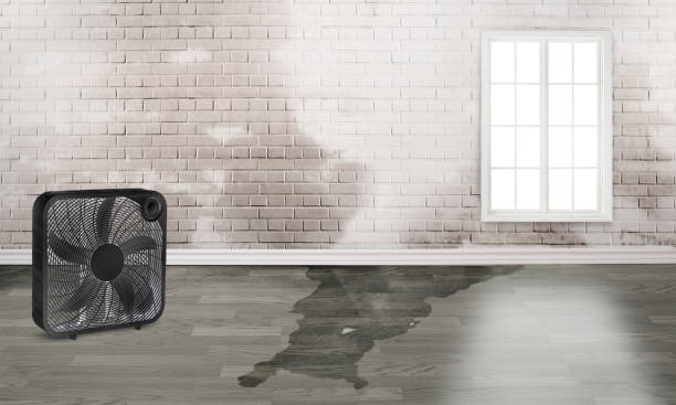Best 24/7 water damage repair  in Lake Sarasota, FL