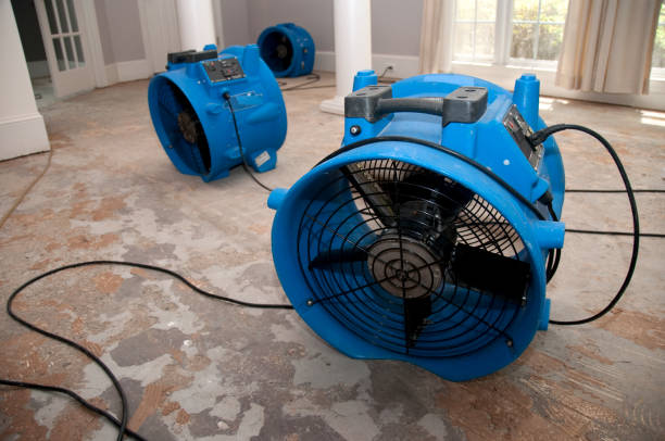 Best Mold removal after water damage  in Lake Sarasota, FL