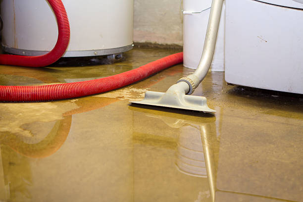 Best Sewage cleanup and water damage restoration  in Lake Sarasota, FL