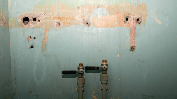 Water damage restoration mold remediation in FL