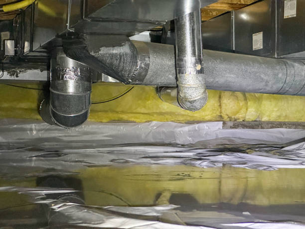 Best Water damage contractors near me  in Lake Sarasota, FL