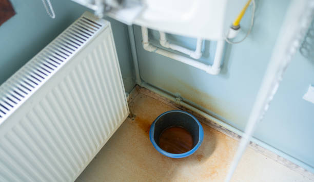 Best Fire Damage Restoration  in Lake Sarasota, FL